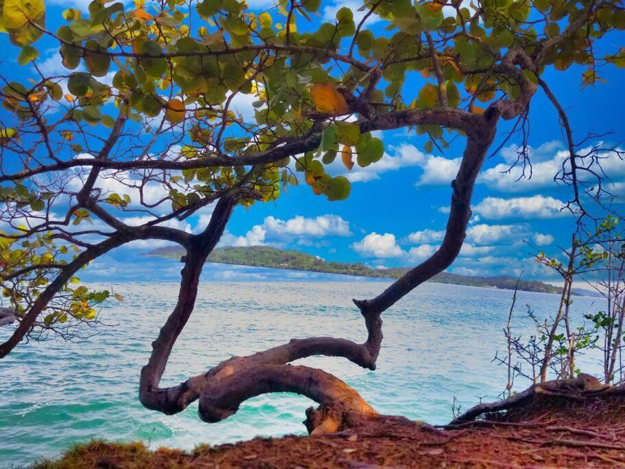 Villa Poetry Garden Bocas Town Colon Island Exterior foto