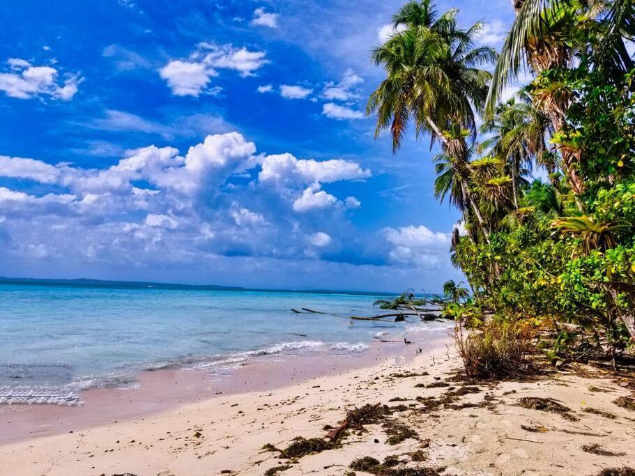 Villa Poetry Garden Bocas Town Colon Island Exterior foto