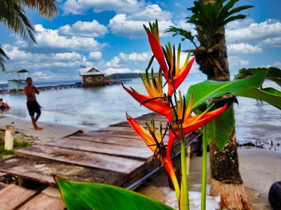 Villa Poetry Garden Bocas Town Colon Island Exterior foto