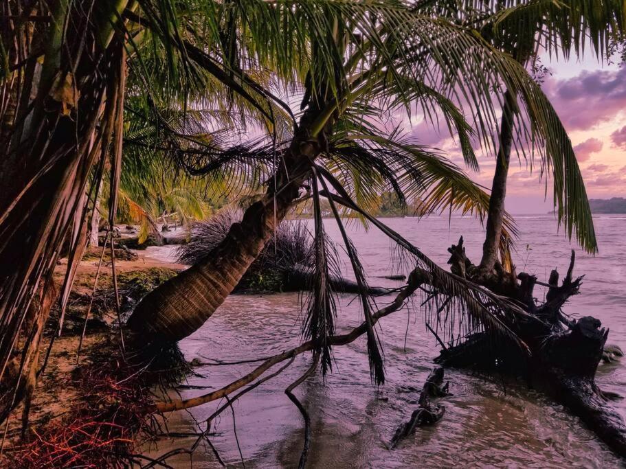 Villa Poetry Garden Bocas Town Colon Island Exterior foto